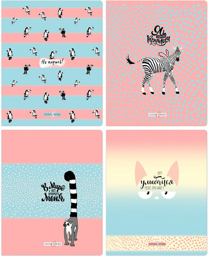 Тетрадь "BG Circles&strips". 48 листов. Клетка. Ассорти.