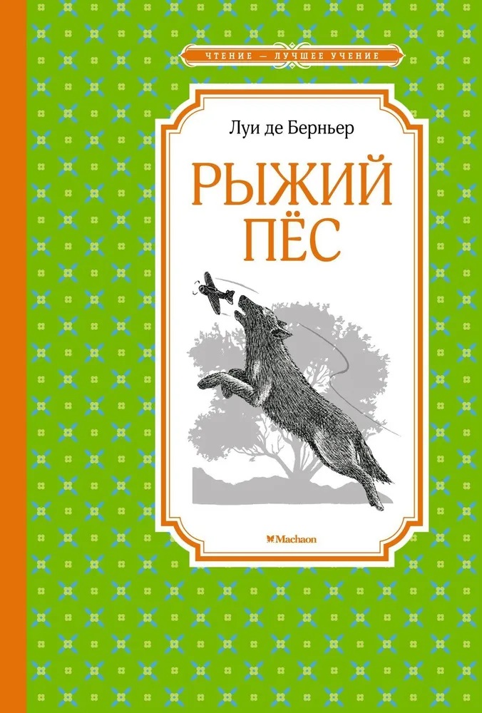Рыжий пёс.