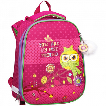 Ранец Expert. " Lovely owl " . 2 отделения.